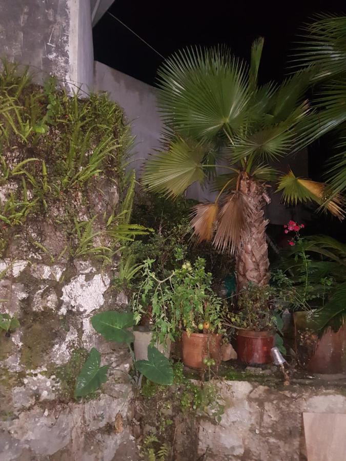 Posada Don Felipe Cuetzalán Bagian luar foto